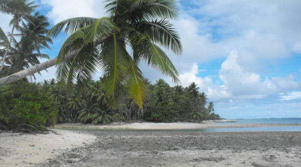 Doi chinezi au plănuit să înființeze un ”mini-stat” în Insulele Marshall 