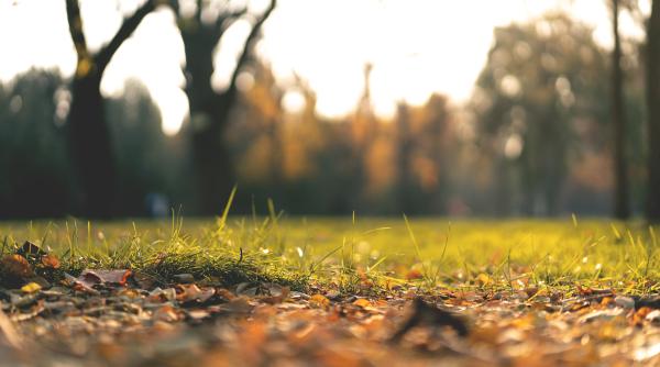 Cadastrare gratuită. Propunere adoptată privind soarta acestor terenuri 