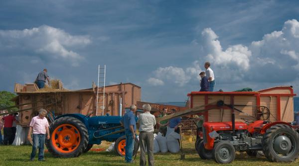 Fermierii vor primi 1.500 de lei pe hectar pentru culturile afectate de secetă – proiect  