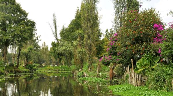 Mexicanii au readus la viață o minune inginerească aztecă  VIDEO