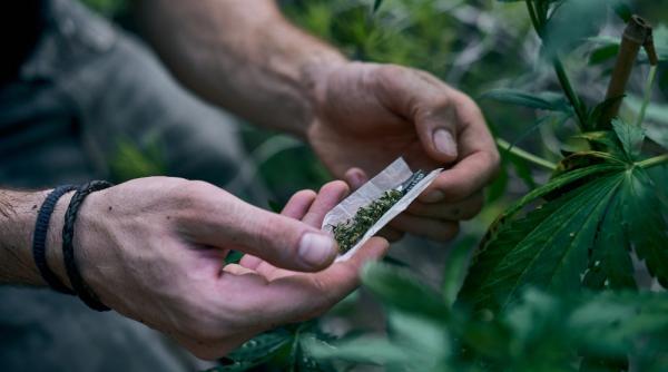 Germania legalizează consumul de marijuana