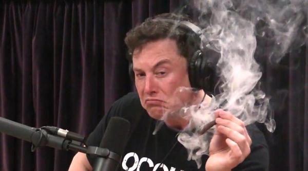 Twitter se prăbușește. Casa Albă, îngrijorată că Elon Musk poate devenit un risc de securitate națională