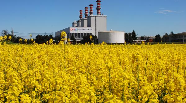 Bloomberg: Enel vinde noi active. Directorul companiei se pregătește să prezinte planul pentru 2023-2025
