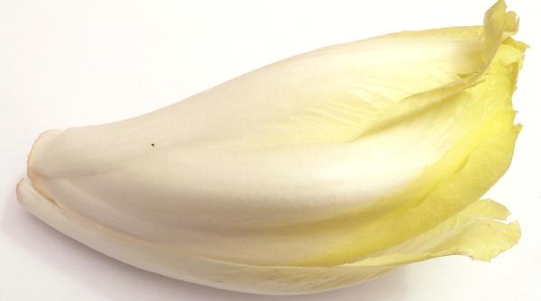 Criza energetică: Industria franceză a andivelor, în pericol să dispară