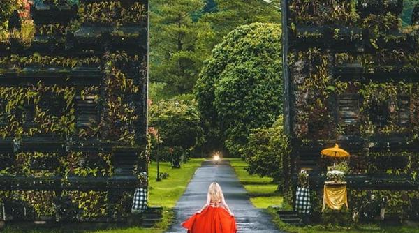 G20 în Bali: Liderii lumii vin să tulbure liniștea unui paradis unic în felul său 