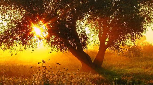 Știrile dimineții. Sporuri, pensia anticipată, Rusia, retrogradată 