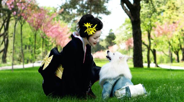 Companiile japoneze au aflat ce-i face fericiți pe angajați. Și au luat o decizie