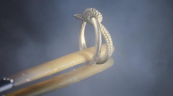 LVMH cumpără compania Pedemonte și dă lovitura pe segmentul de bijuterii 