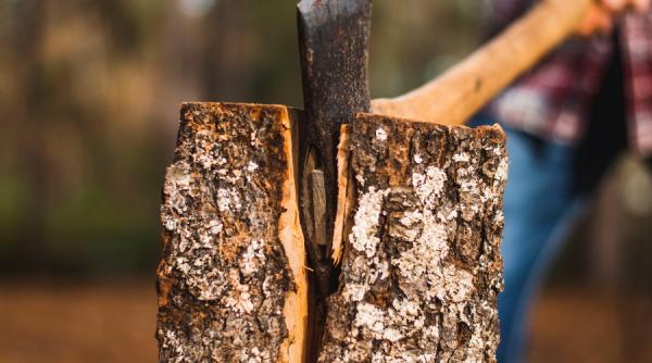 Comercianții de lemn de foc vând marfa la preț dublu față de cel plafonat de stat