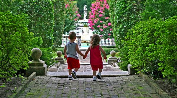 Dreptul la alocaţia de stat. O nouă propunere care vine în ajutorul românilor