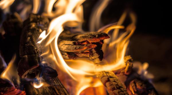 Barna Tanczos: Cantitatea de lemn de foc pusă pe piață a crescut cu un milion de metri cubi