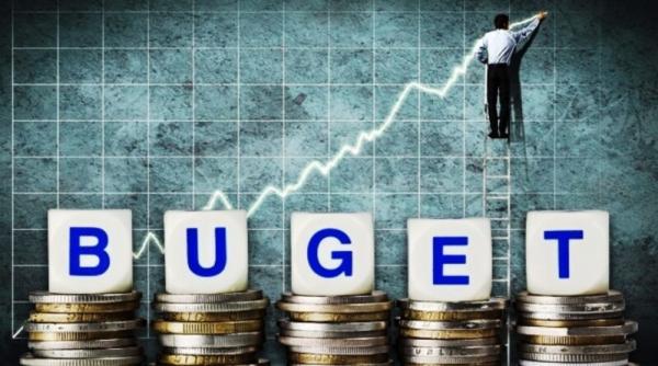 Bugetul asigurărilor sociale, construit pe venituri de 11,701 miliarde de lei