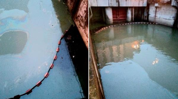 Poluare pe Dunăre pe o lungime de 6 kilometri