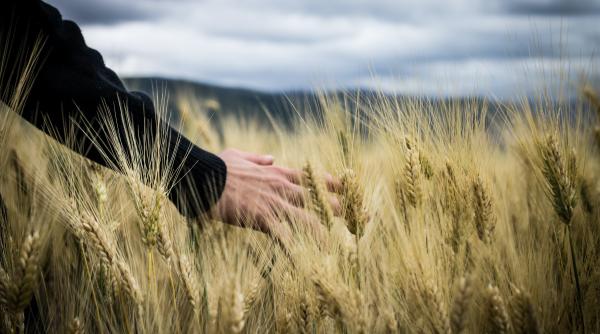 Traderii Anderson și LDC își extind prezența în România