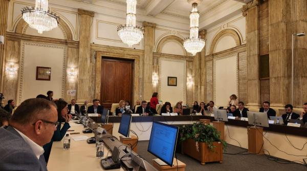 Bani pentru pensii, alocaţii şi măsuri de sprijin în 2023. Marius Budăi anunţă că bugetul Ministerului Muncii a trecut de comisii