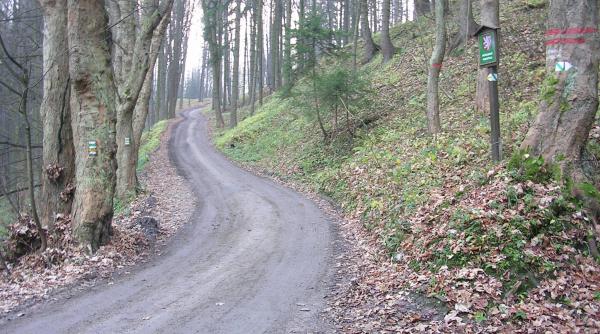 România stă prost și la capitolul drumuri forestiere