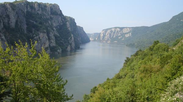 Povestea unei licitații pierdute. Rectorul Georgescu: ”Ne lipseau niște ștampile pe niște hârtii vechi”