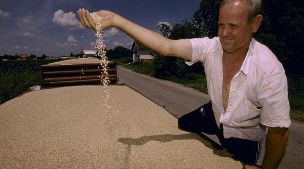 Importul masiv de cereale din Ucraina lovește în fermieri. România, între țările care cer măsuri de la UE