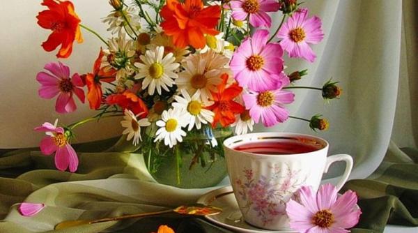 Știrile dimineții. Despre alocații majorate, agenți imobiliari, obligații furnizori de energie