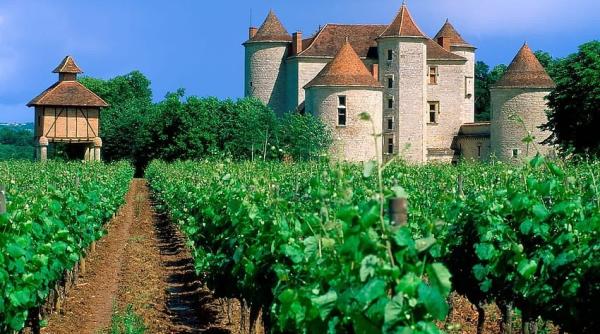 Franța: Viticultorii și casele de șampanie se adaptează la schimbările climatice