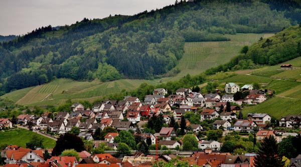 Ministrul Boloș: Satul autonom energetic, un nou proiect al Guvernului