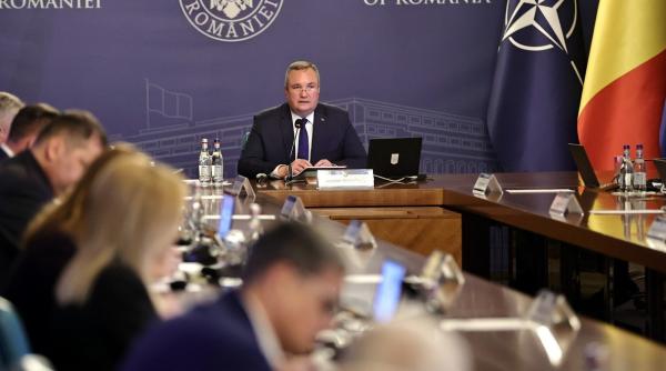 Guvernul a aprobat organizarea şi funcţionarea Agenţiei Române pentru Investiţii şi Comerţ Exterior