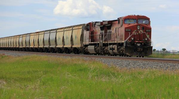 Vameșii lituanieni au confiscat un transport ilegal de îngrășăminte din Belarus