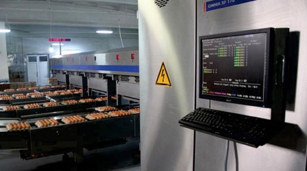 Investiție de 2,5 milioane de euro din partea Cooperativei Ţara Mea pentru dezvoltarea produselor româneşti ready-meal