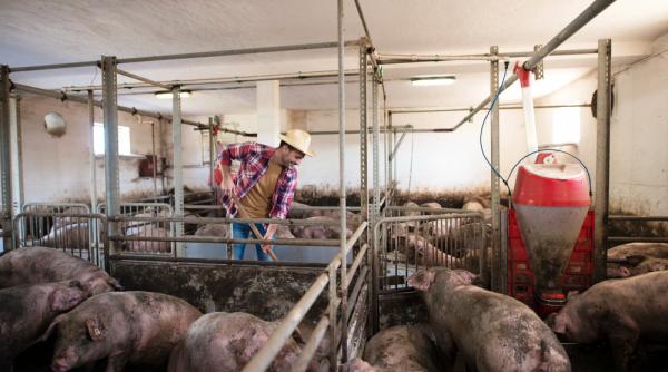 La Bruxelles se cere reevaluarea ajutoarelor compensatorii pentru fermierii români: ”Ei sunt printre cei mai afectaţi de conflictul ucrainean”