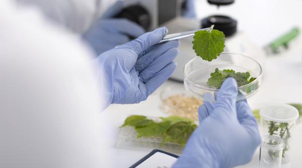 L'Oréal investește într-o companie de biotehnologie