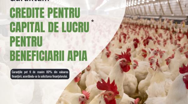 FNGCIMM continuă și în 2023 să susțină sectorul agricol prin garantarea creditelor acordate beneficiarilor APIA