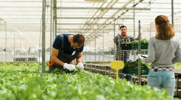 Veste proastă pentru Occident: ”Rezervorul de muncitori din Europa de Est s-a epuizat”