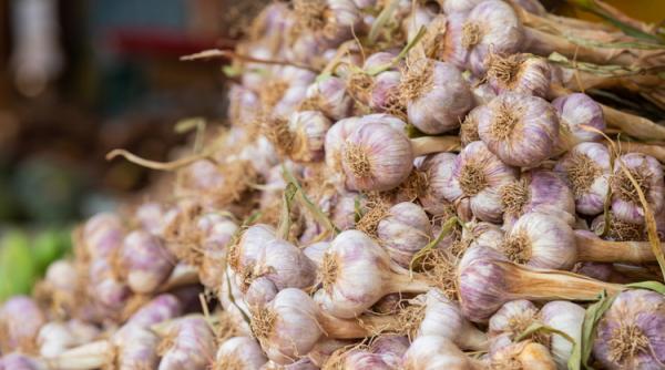 Ajutor de minimis pentru producția de usturoi
