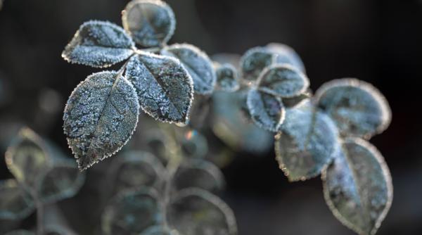 Meteo. După două zile de vară, iarna se reîntoarce