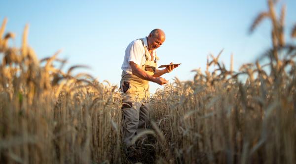 Renta viageră agricolă. Regulile vor fi modificate 