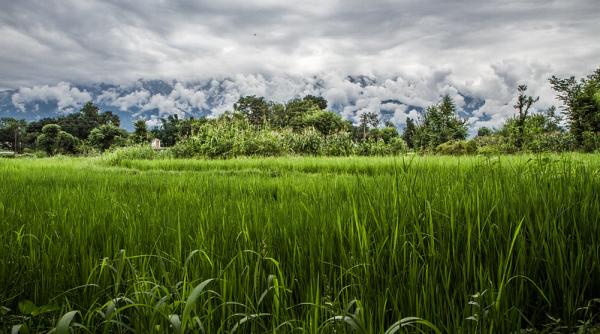 România a semnat un acord de împrumut cu Banca Mondială