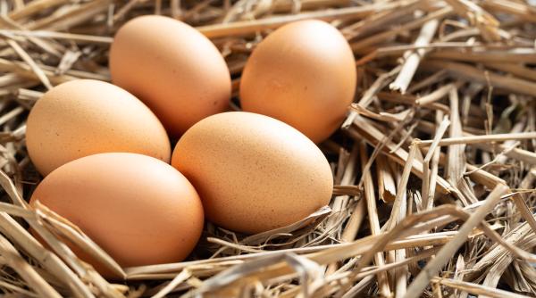 Anghel (ANPC): Nu cumpărați carne de miel și ouă din aceste locuri 