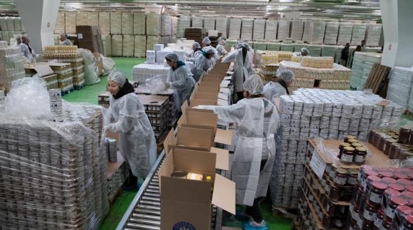 Vouchere sociale. Anunț oficial privind suma virată pentru alimentarea cardurilor de 250 de lei 