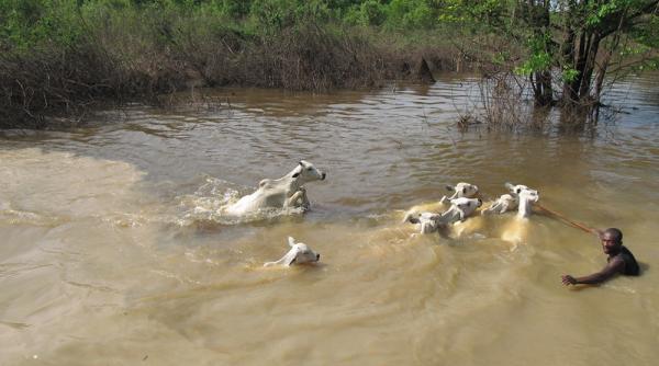 Catastrofă în Africa. Sute de morți din cauza inundațiilor istorice