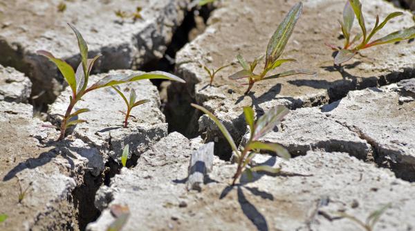 Secetă: Spania prezintă măsuri de peste două miliarde de euro