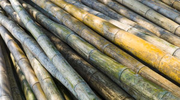 La Hong Kong, orașul zgârie-norilor, încă se folosesc schele de bambus