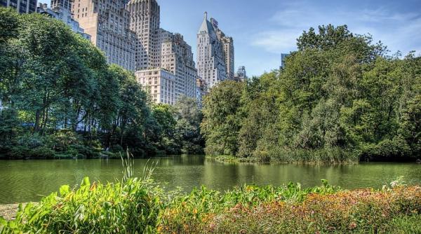 Rupert Murdoch și-a cumpărat un apartament la suprapreț 