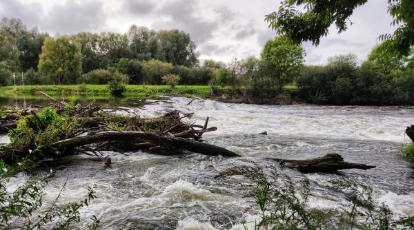 Vine potopul! Cod galben de viituri în două județe. Se apropie canicula 