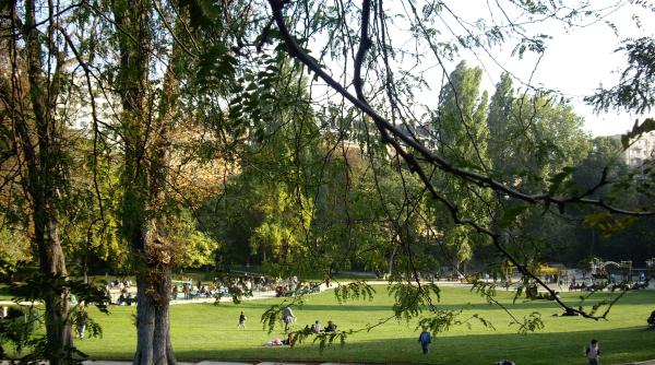 Celine Dion își vinde proprietățile imobiliare la prețuri exorbitante 