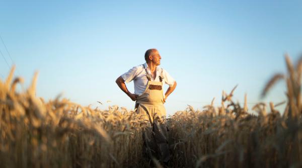 Sprijin de 29,7 milioane de euro pentru agricultura românescă va fi aprobat până pe 30 iunie