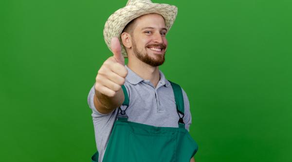 Ajutoare de stat de peste 560 milioane de lei. Cine sunt beneficiarii 