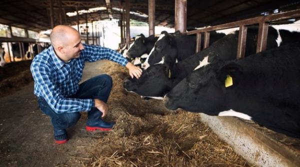 Ministerul Agriculturii lansează o schemă de ajutor de stat pentru creșterea animalelor