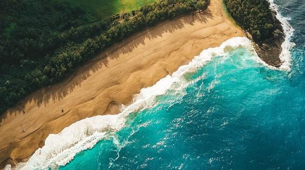 Încălzirea globală ar putea schimba culoarea oceanelor