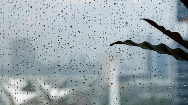 Cod galben de furtună în două județe pentru următoarea oră 