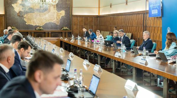 Şedinţă de Guvern, 3 august. Deciziile zilei pentru români şi pentru mediul de afaceri